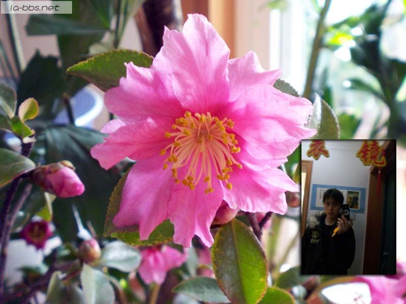 新年到,打扫卫生中..........情人节希望大家都哈皮