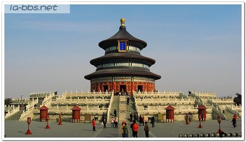 [灌水]我的机票