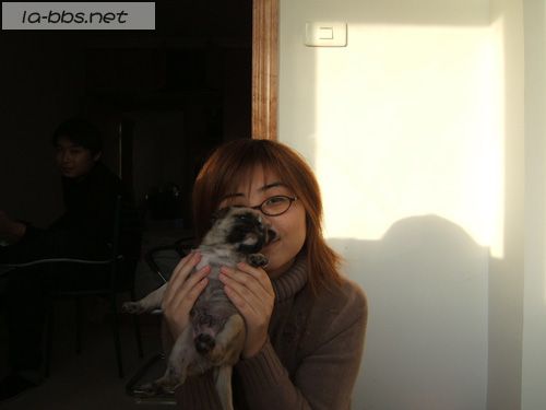 <font color=#FF69B4>[原创]整理照片，发现生日那天我自己做的蛋糕，哈哈</font>