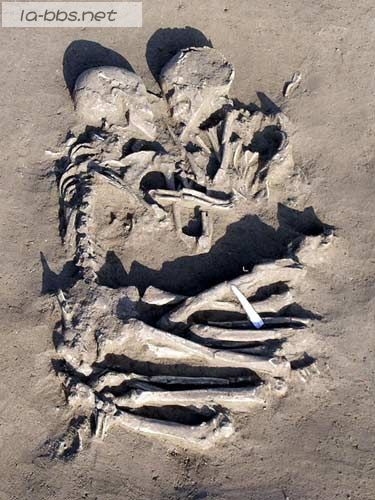 [转帖]考古专家发现情侣遗骸“死了都要爱”