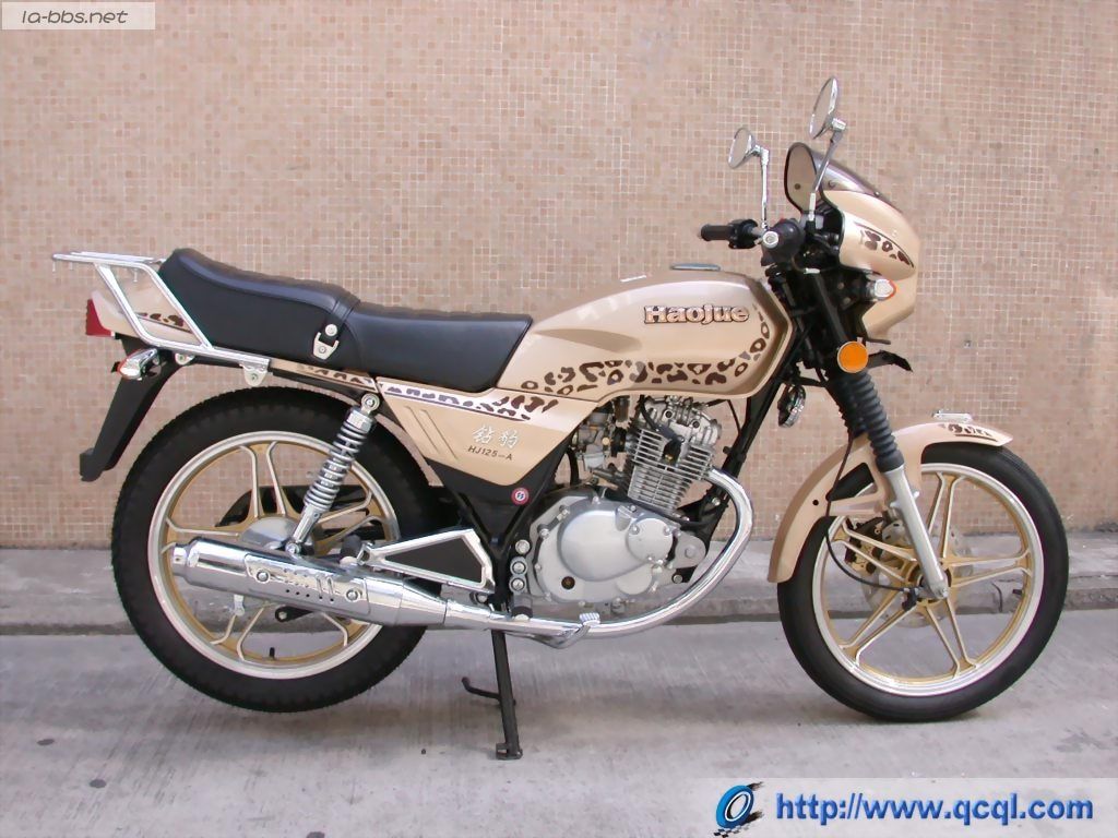 豹行天下——豪爵钻豹的历史