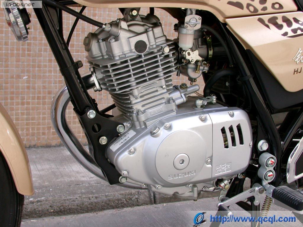 豹行天下——豪爵钻豹的历史