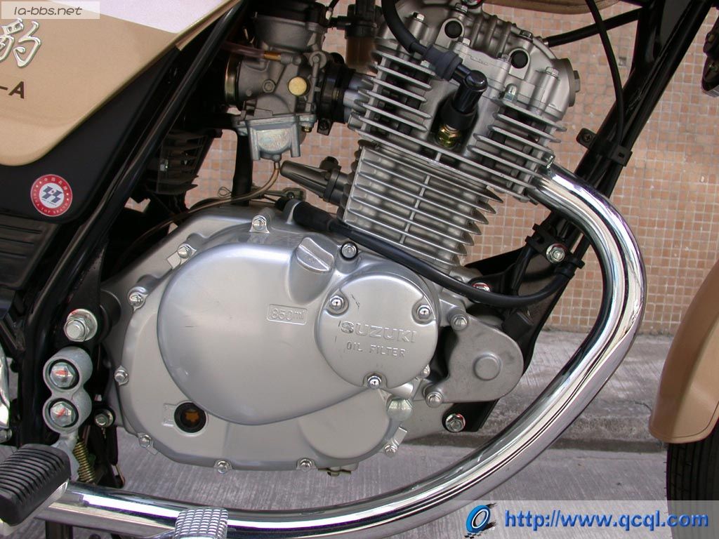 豹行天下——豪爵钻豹的历史