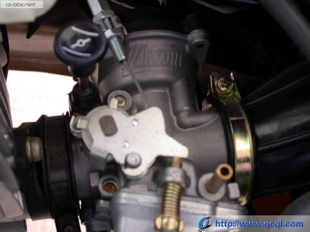 豹行天下——豪爵钻豹的历史