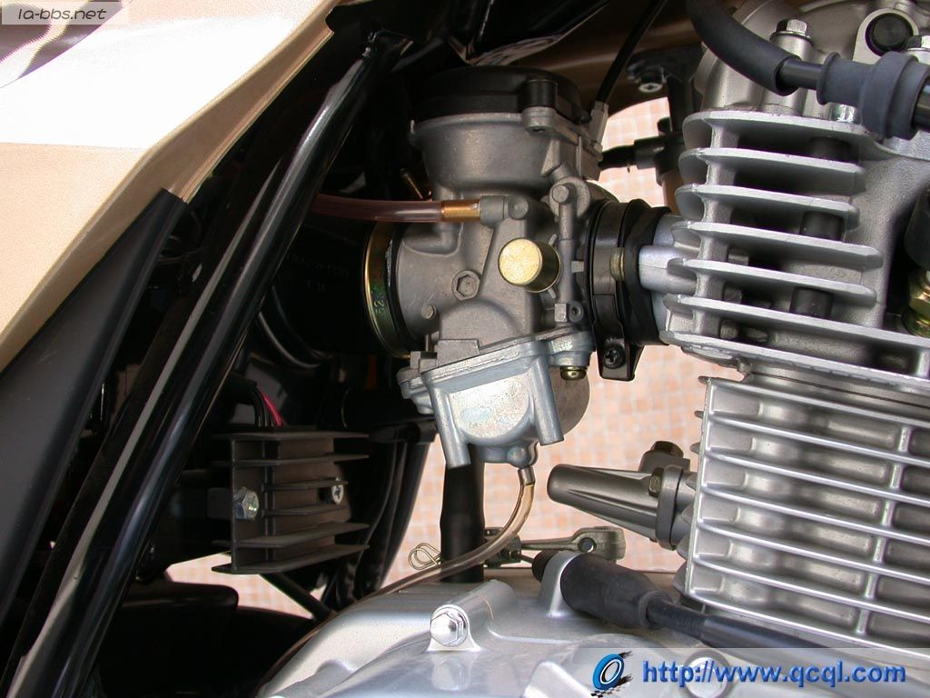 豹行天下——豪爵钻豹的历史