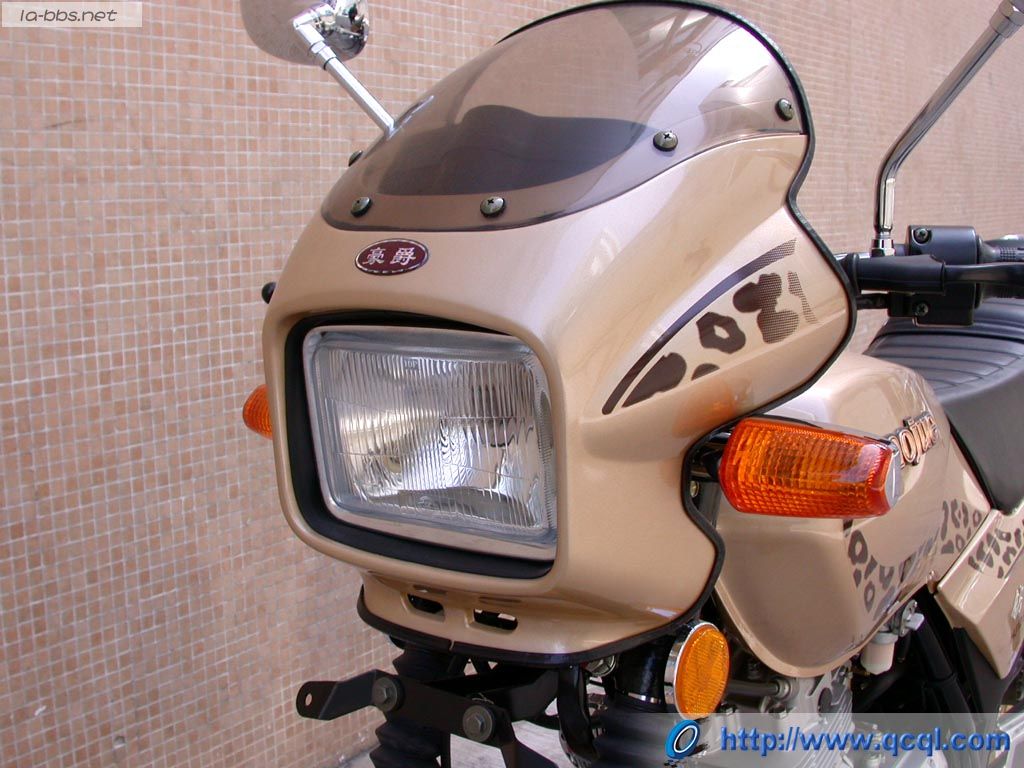 豹行天下——豪爵钻豹的历史