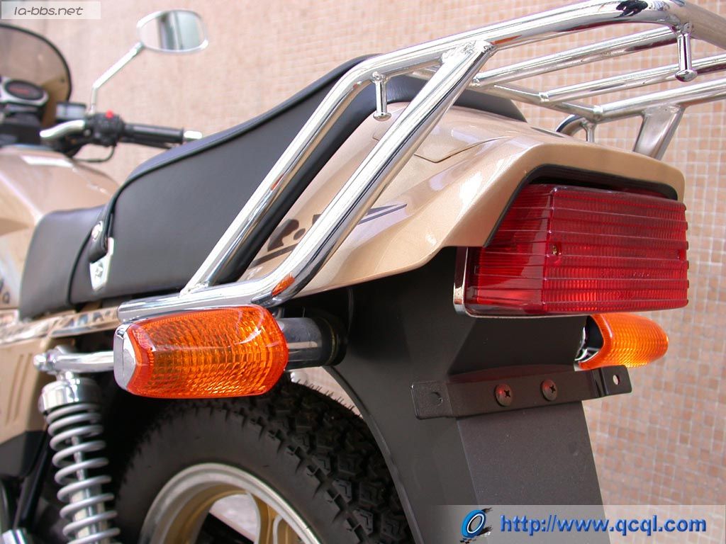 豹行天下——豪爵钻豹的历史