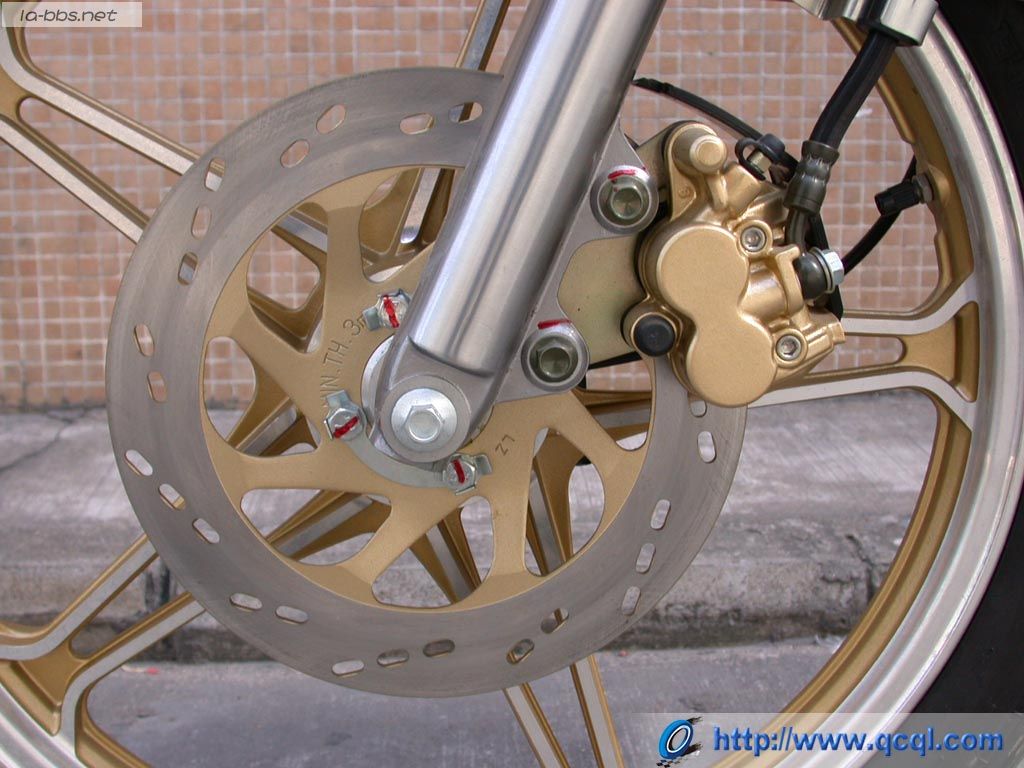 豹行天下——豪爵钻豹的历史