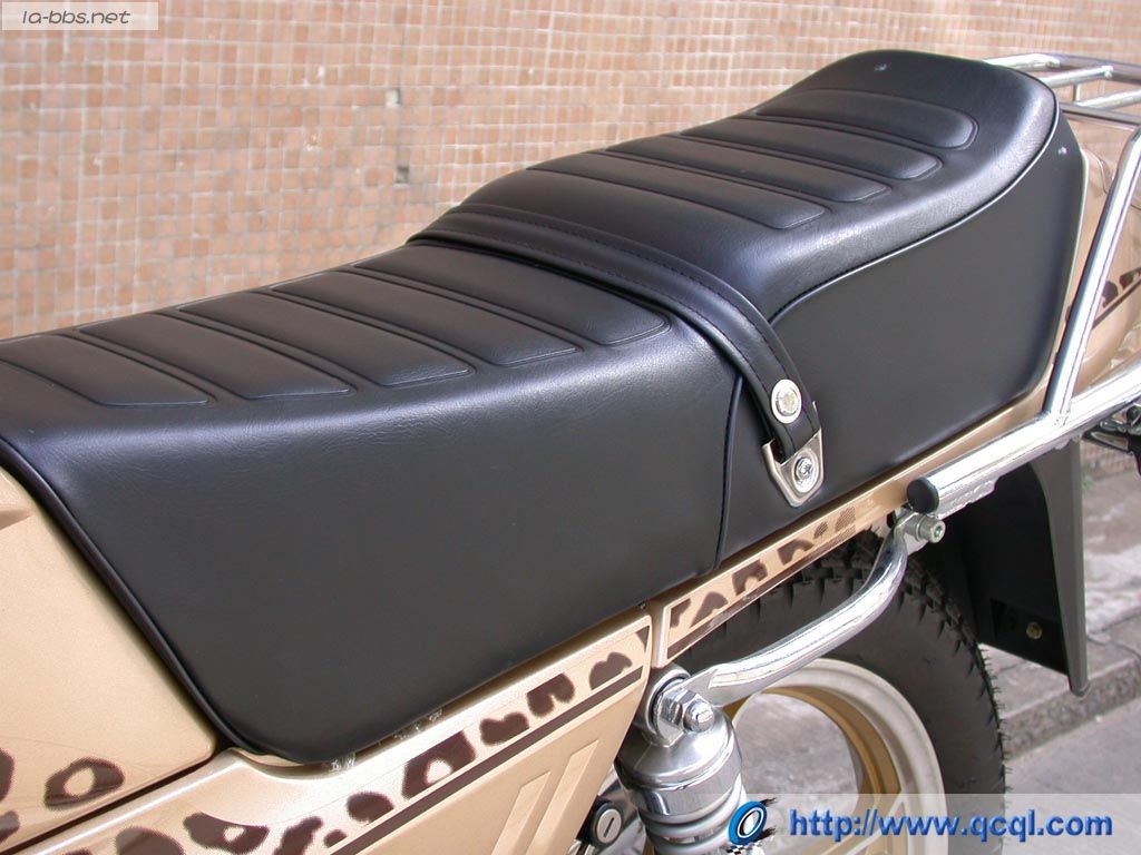 豹行天下——豪爵钻豹的历史