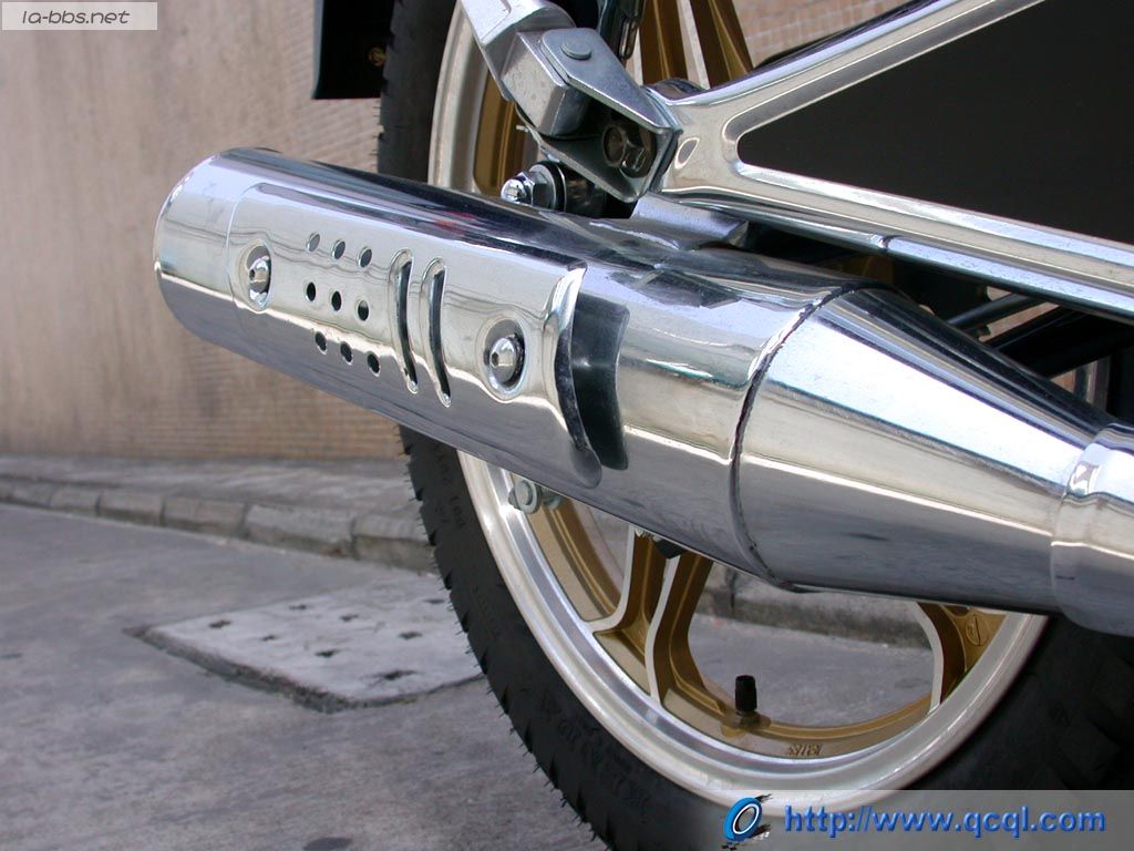 豹行天下——豪爵钻豹的历史