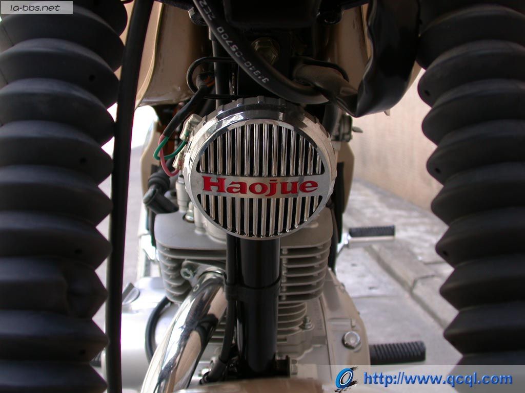 豹行天下——豪爵钻豹的历史