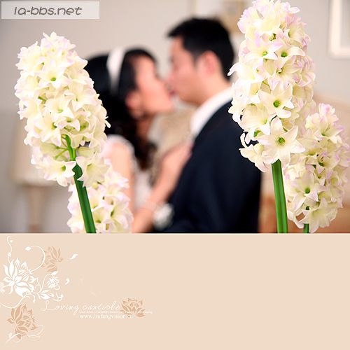 [原创]发几张我选的影楼拍的客片(二)