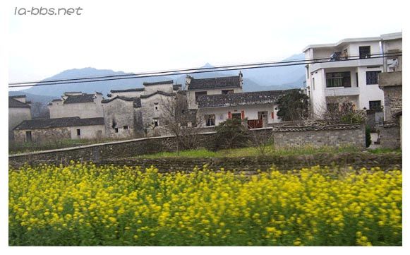 观宏村  游西递  探花山（自拍照）