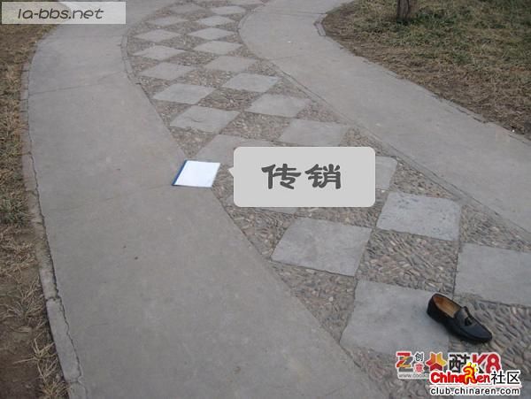 真人四格漫画之武林歪转