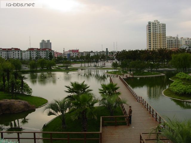 继续上传安亭镇照片