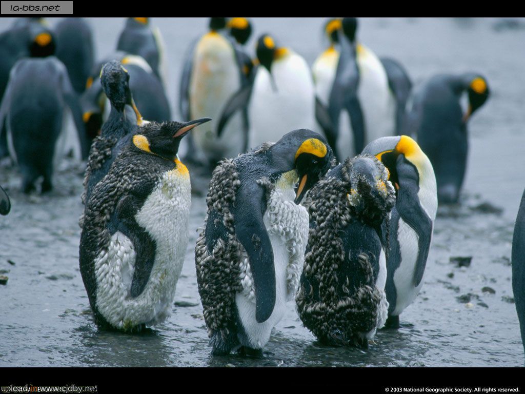 国家地理美图（不断更新中）