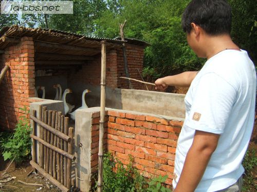 [原创]老家一游