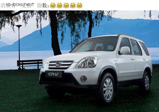 网民最“受伤”十大车型