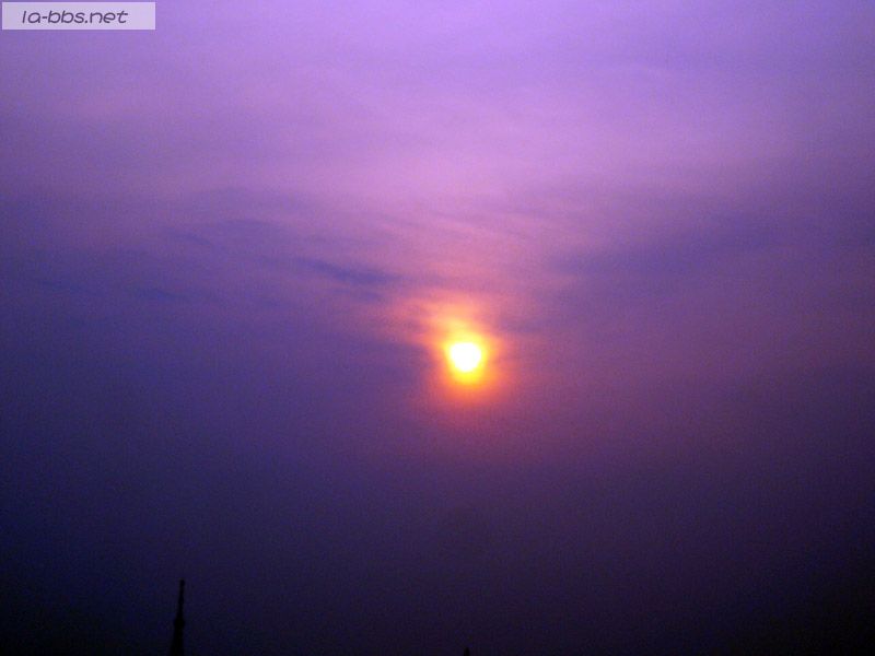 六安的夕阳和绿色的植物