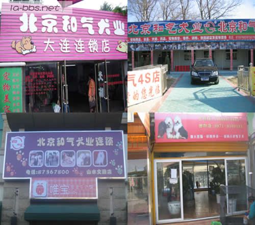 ▲北京和气犬业▲全国范围诚邀连锁加盟▲