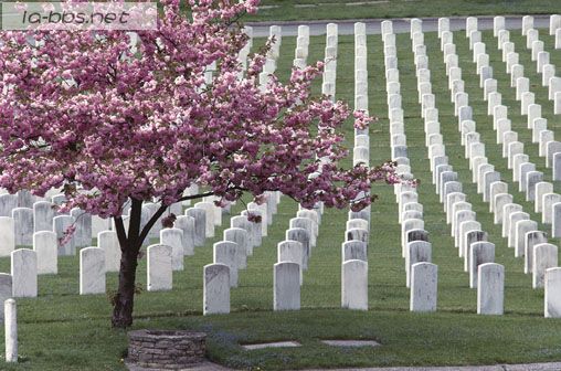 伤心!英美中三国阵亡将士墓地比较!