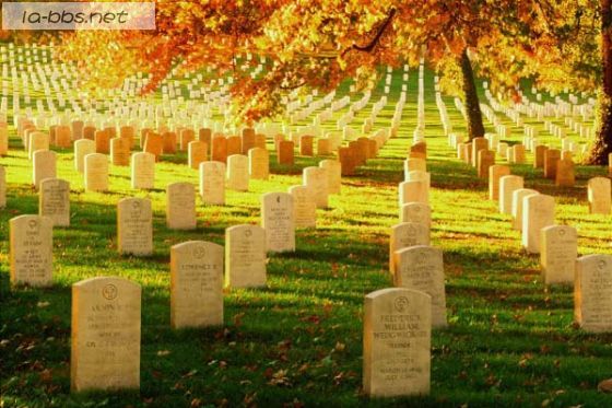 伤心!英美中三国阵亡将士墓地比较!