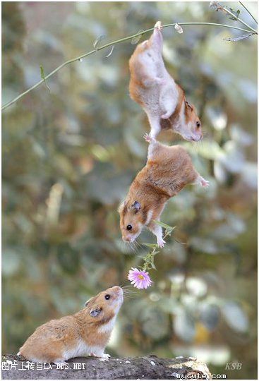 [分享][推荐]明天是我生日,大家进来送祝福吧,哇卡卡!!!