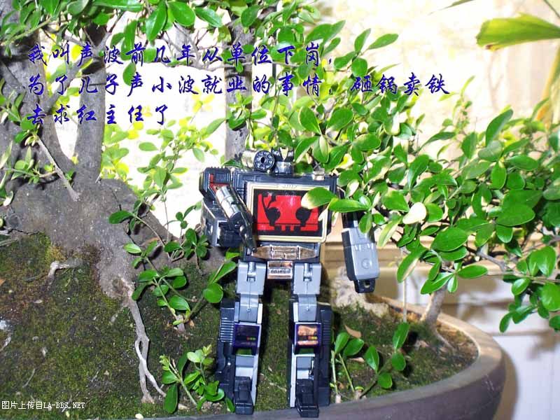 [原创]实拍-小故事(图片上的文字请放大看)-请大家看贴回贴好么???