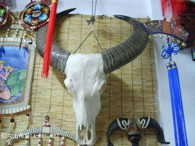 一家奇怪的店[淮河路精品街]