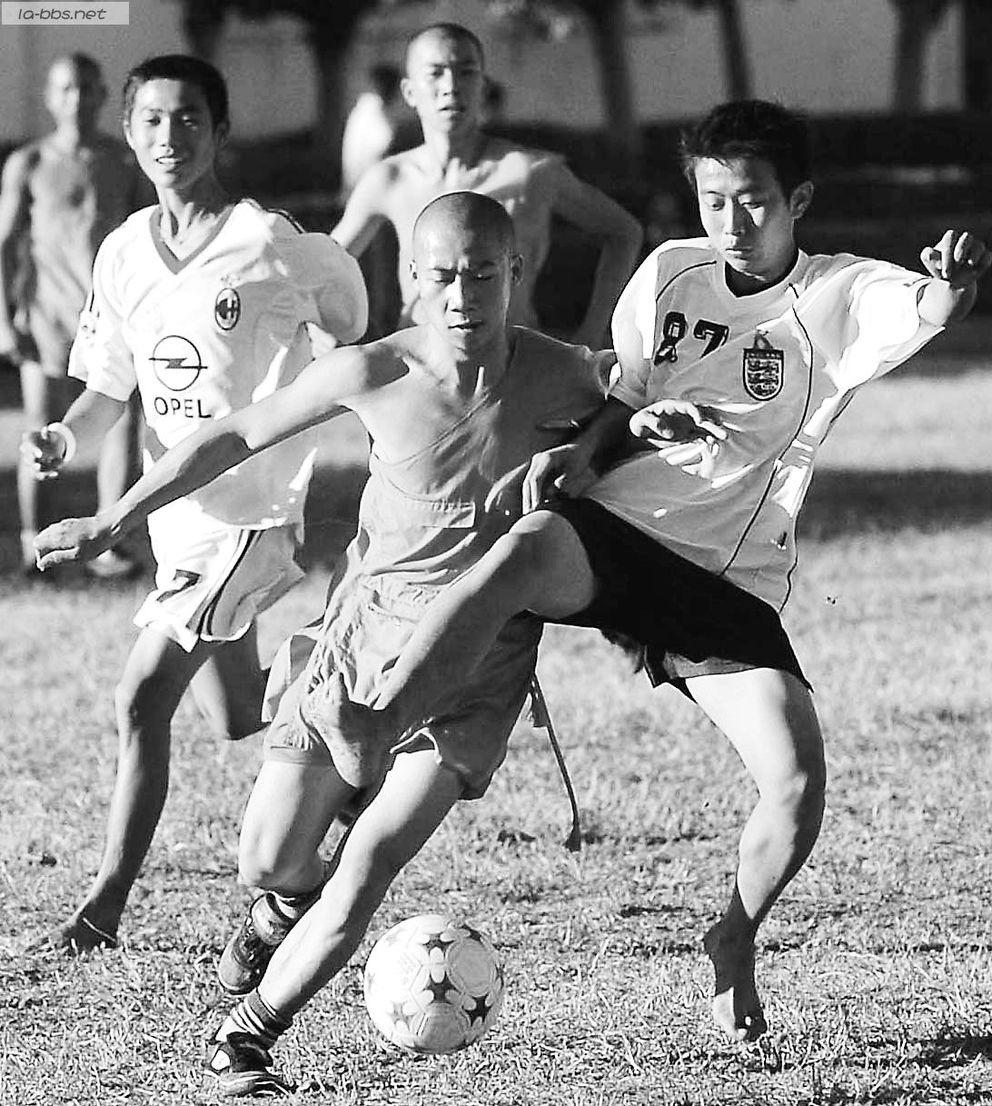 和尚尼姑幸福的现代生活