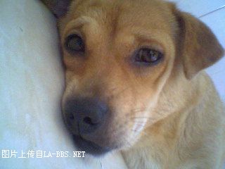 曹操放屁（经典）！！！ 古代最搞笑的笑话(转载)