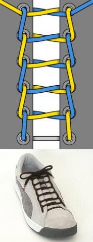 教你系漂亮鞋带！（大嘴河马第1000主题帖）