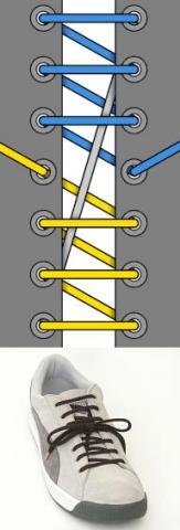 教你系漂亮鞋带！（大嘴河马第1000主题帖）