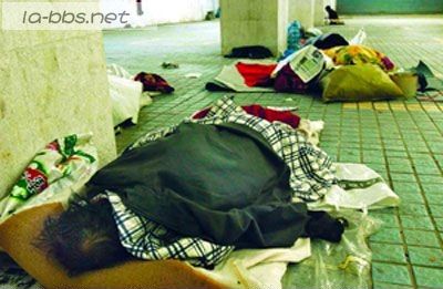 顺利挤上公车的N种方案