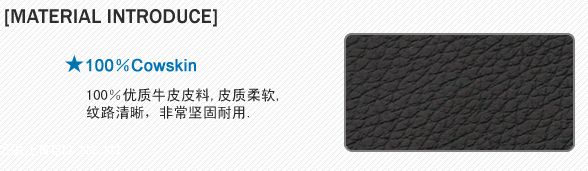 特价拍卖：正宗Louis Vuitton（LV）男士精品优质牛皮