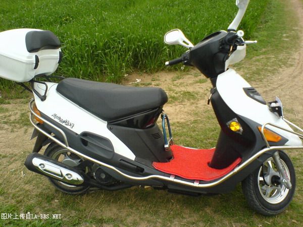 海王星A级 40天作业