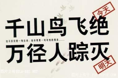 让人拍案叫绝的公益广告!