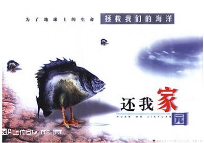 让人拍案叫绝的公益广告!