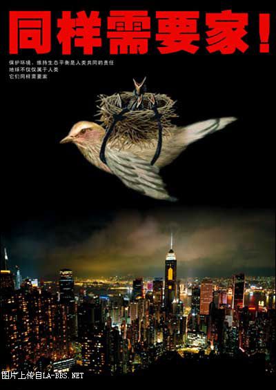 让人拍案叫绝的公益广告!