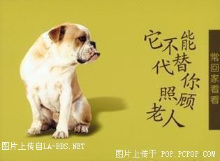 让人拍案叫绝的公益广告!