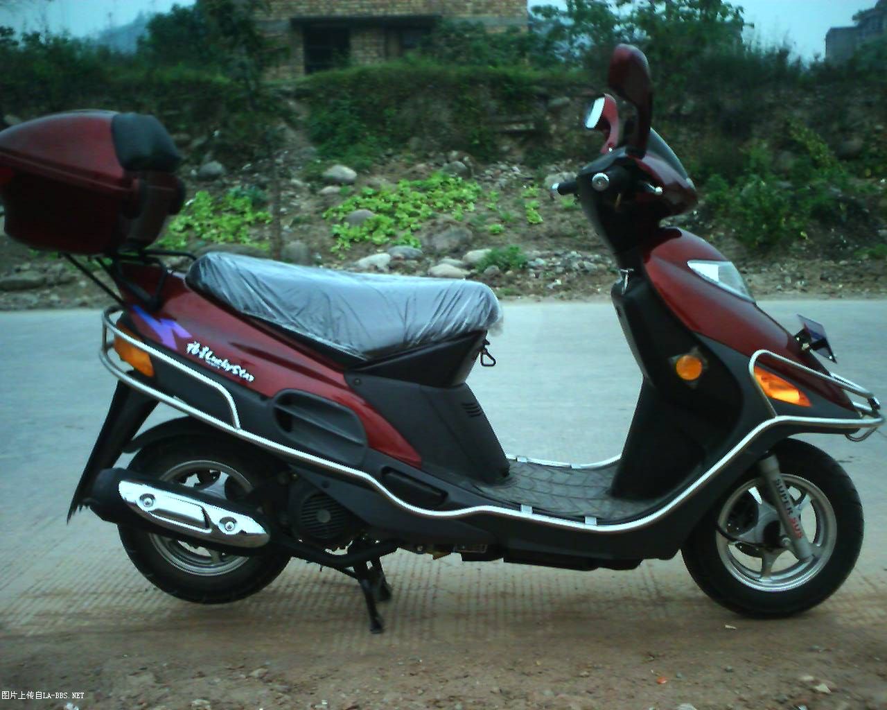 终于把这只老绵羊弄回家了!