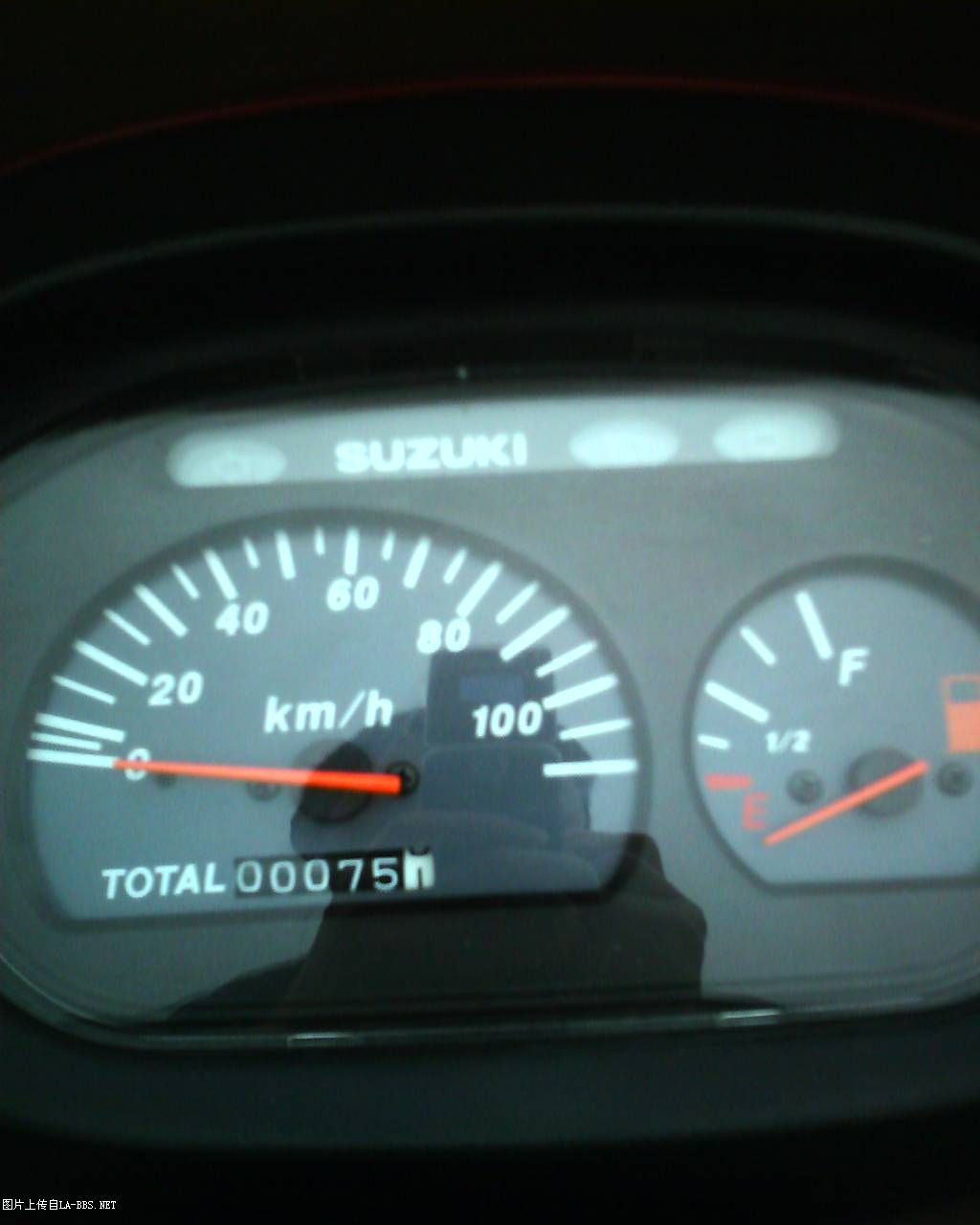 终于把这只老绵羊弄回家了!