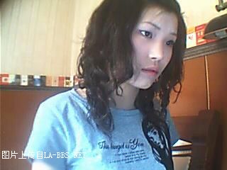 六安有多少哈士奇？速來報到[原创]