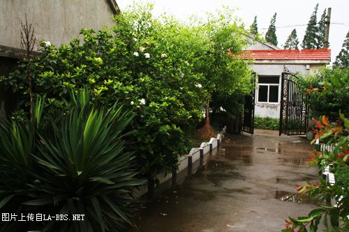 [原创]俺家多了只萨摩银狐