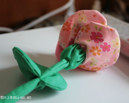 [原创]俺家多了只萨摩银狐