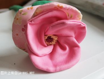 [原创]俺家多了只萨摩银狐