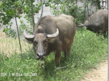 牛!!!