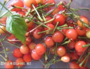 <font color=#9400D3>樱桃可真贵啊......</font>