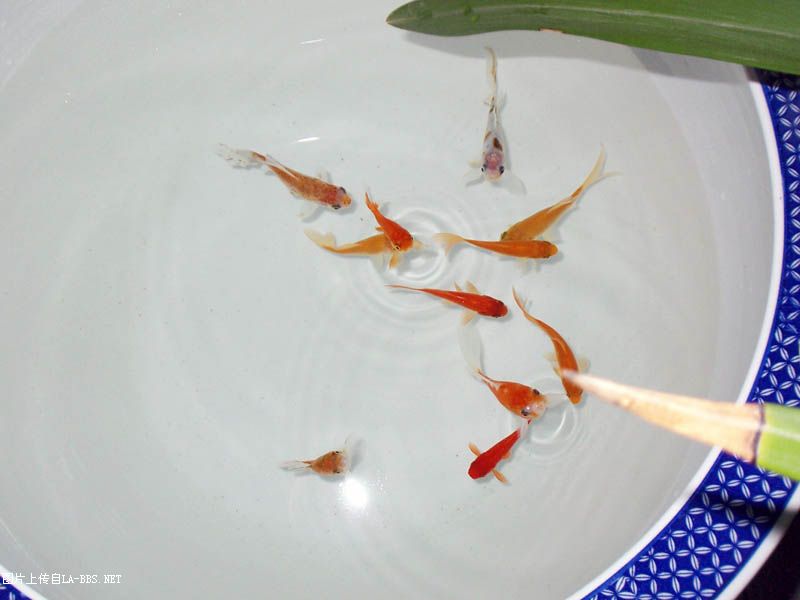 5.1七天乐,劳动最快乐!