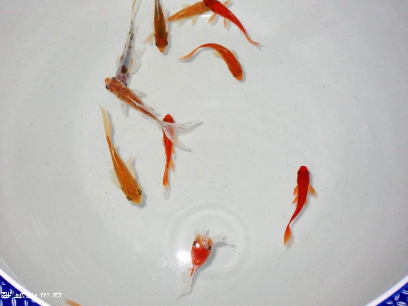 5.1七天乐,劳动最快乐!